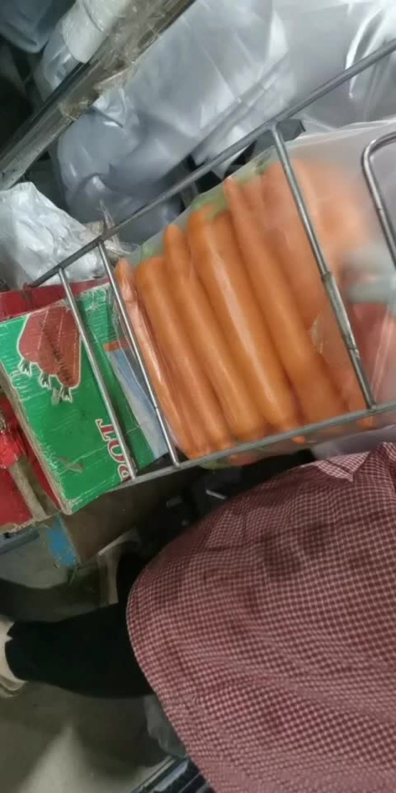 福建精品316红萝卜现洗