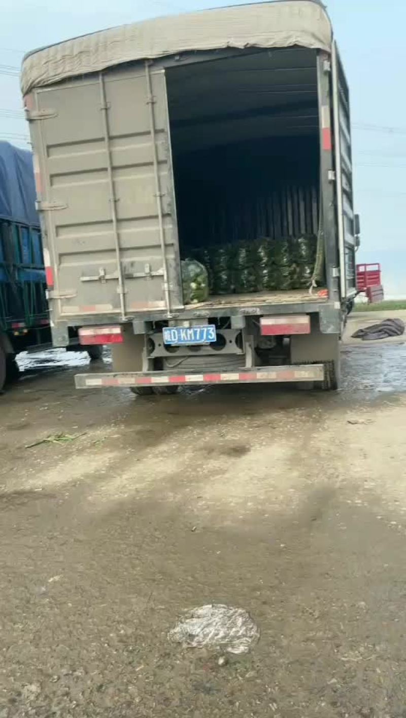 需要的请与我联系