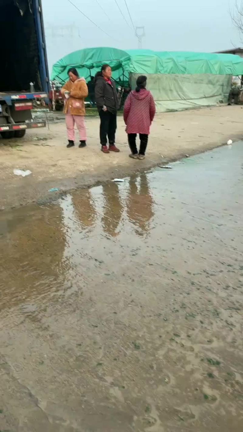 需要的请与我联系