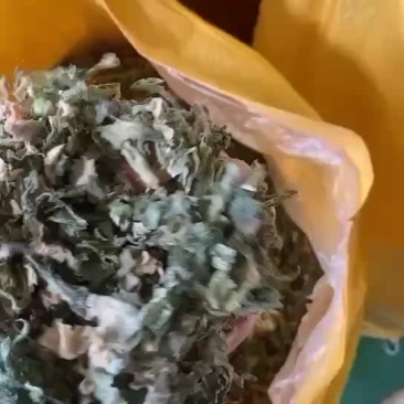 梅干菜扣肉饼