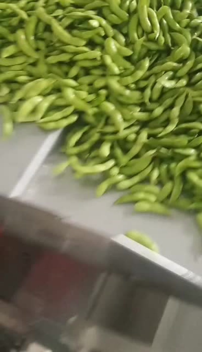 海南64毛豆大量供应，有需要的客户联系