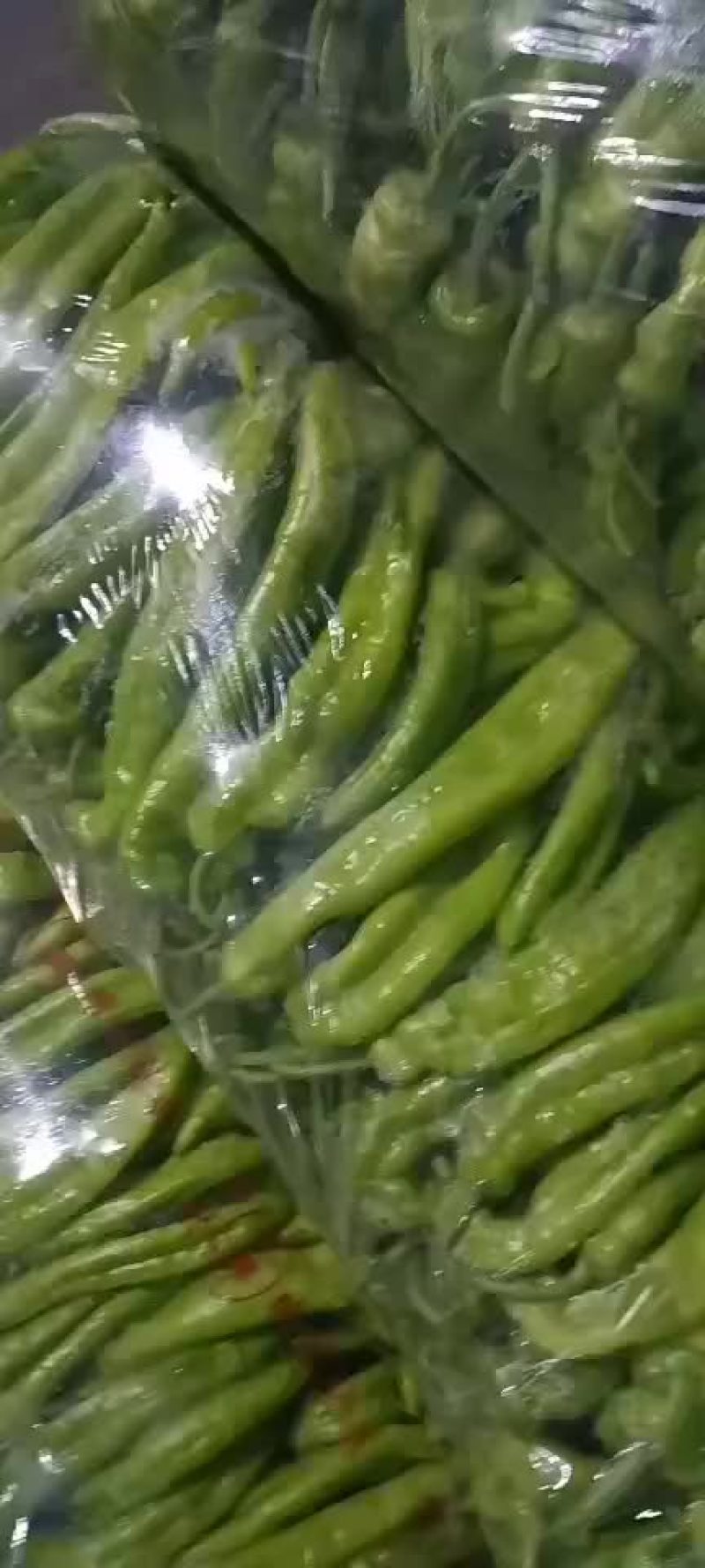 辣椒上市欢迎订购