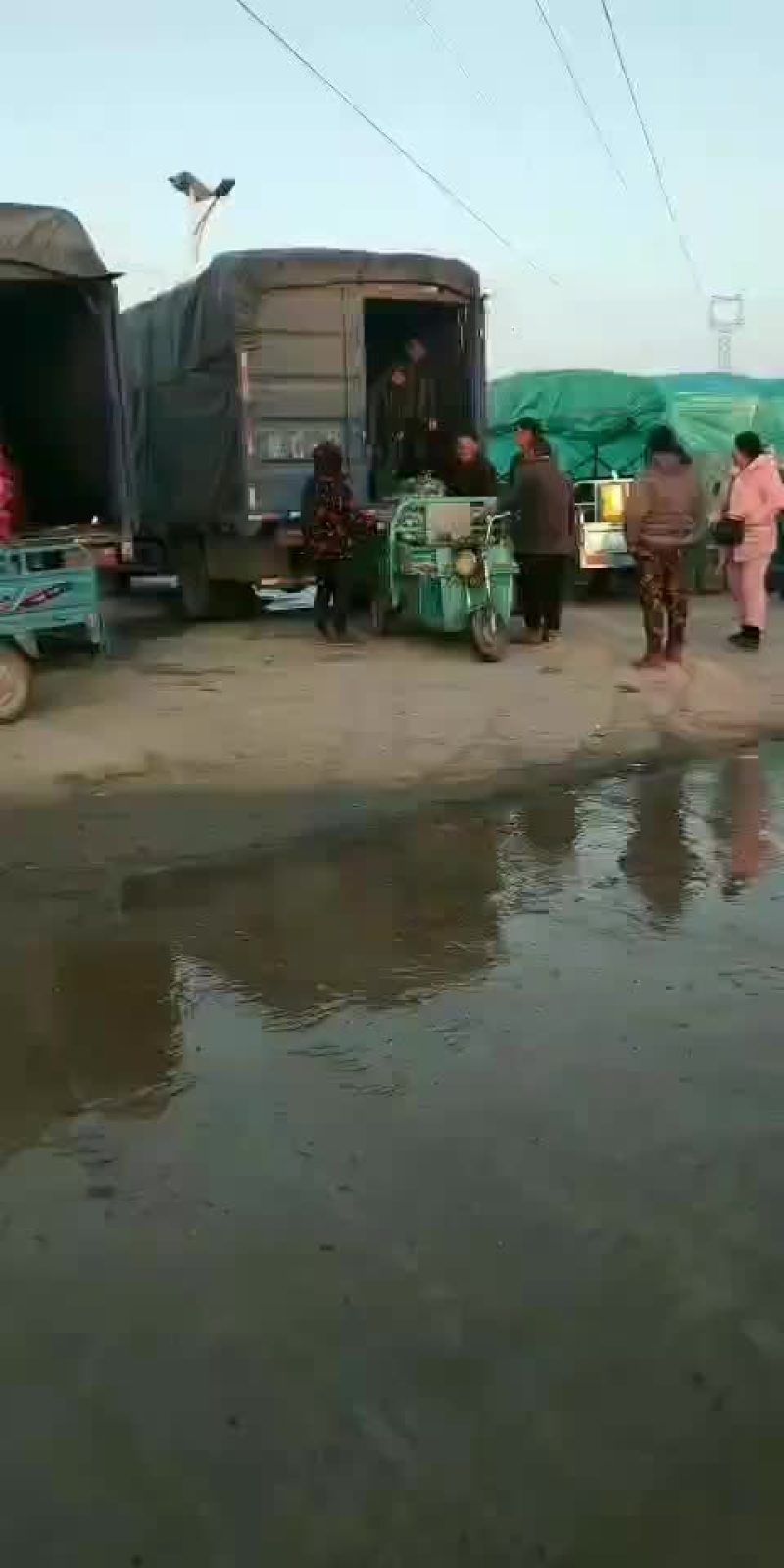 需要的请与我联系