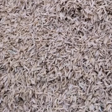 稻壳，压缩稻壳大量现货