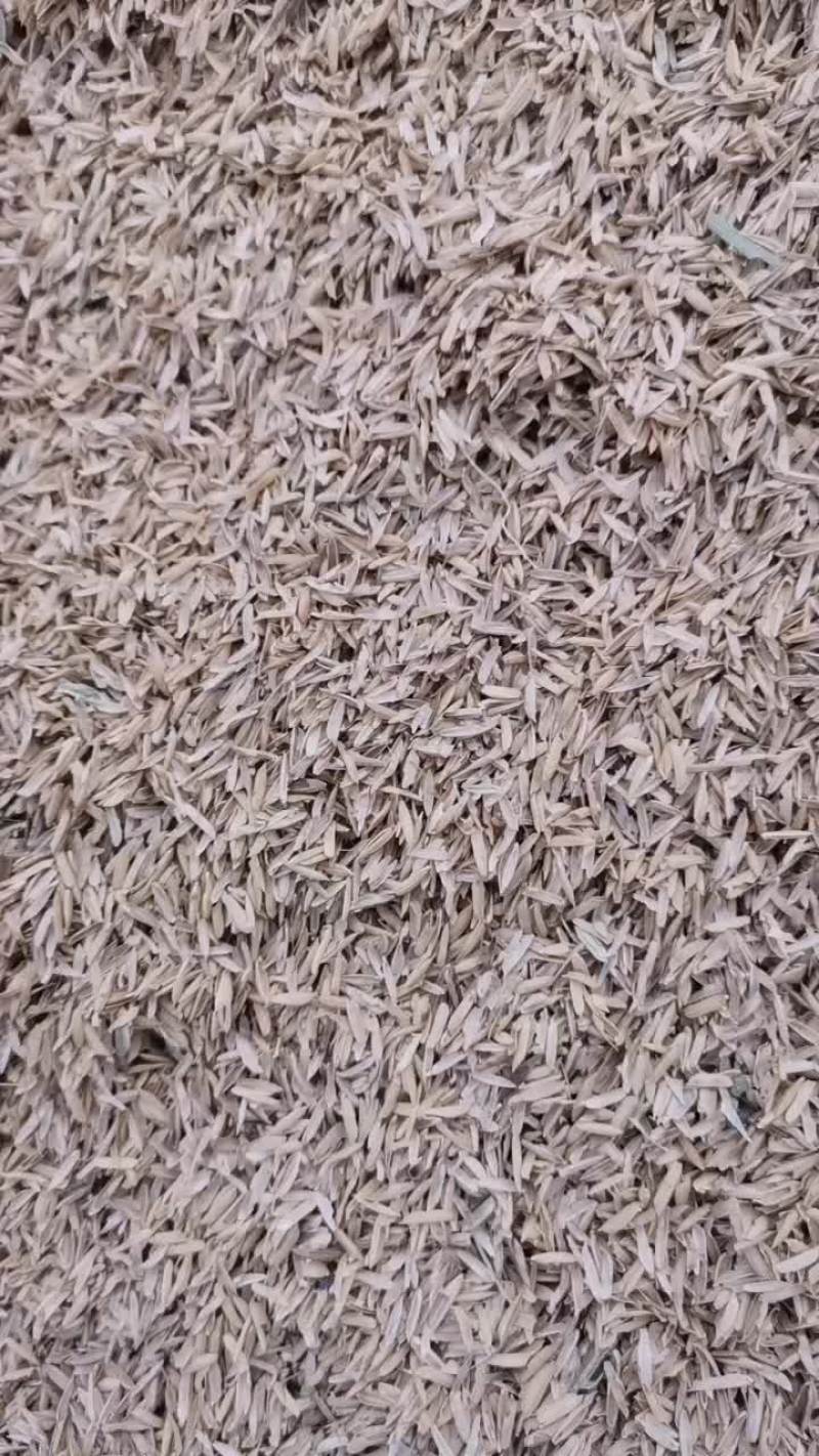 稻壳，压缩稻壳大量现货