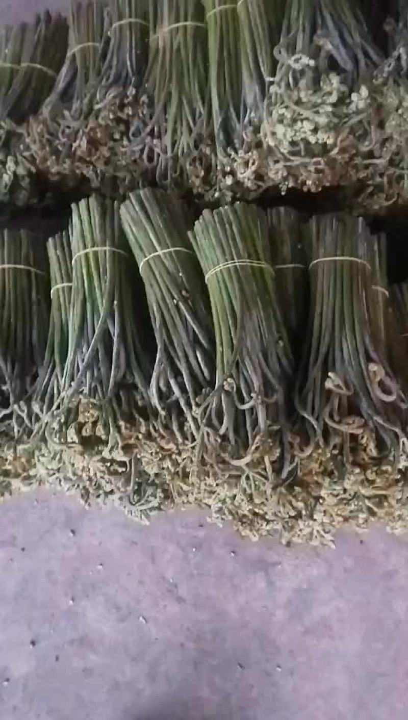 蕨菜，野生蕨菜，甜蕨菜，有兴趣的来