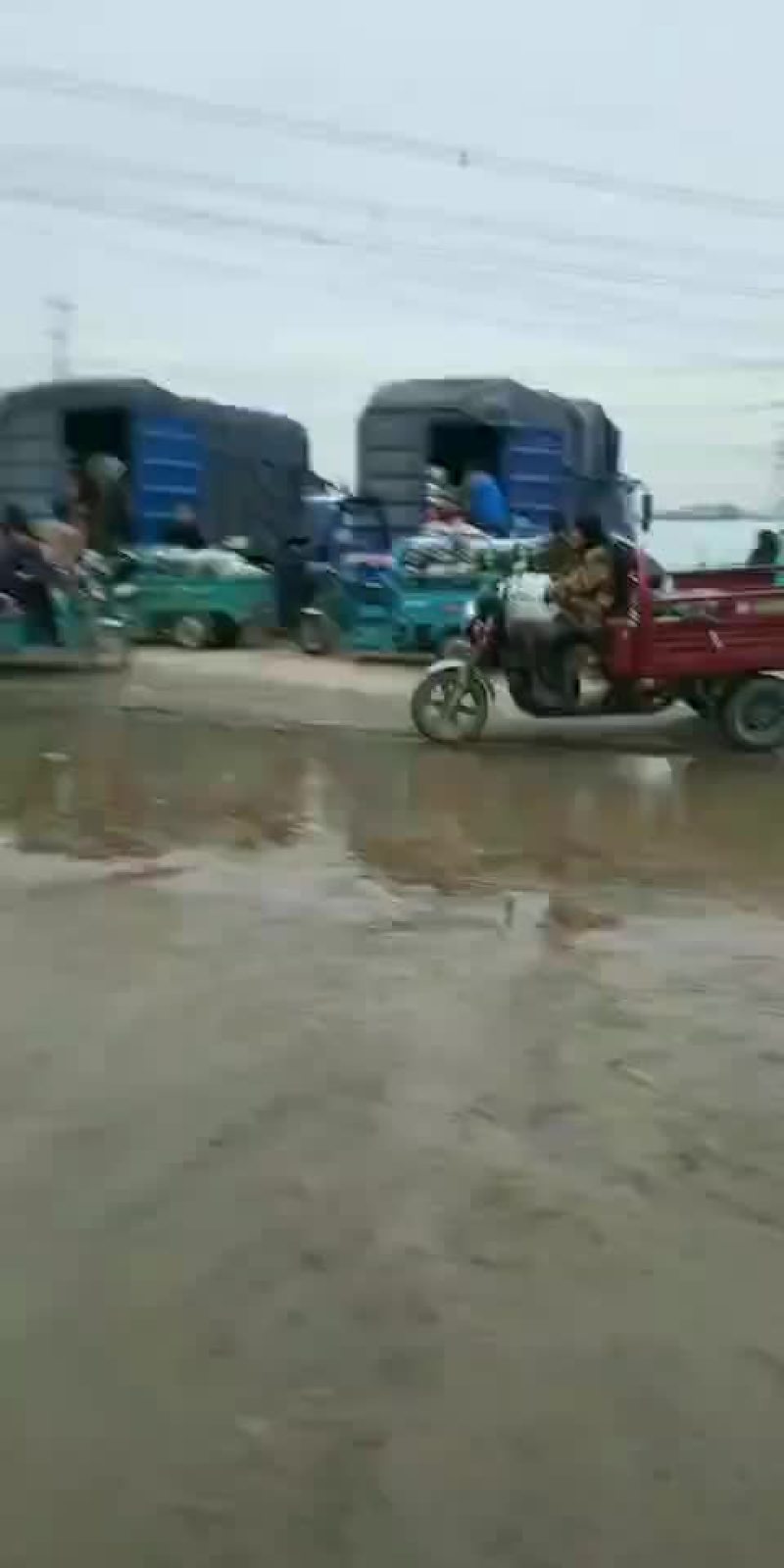 需要的请与我联系