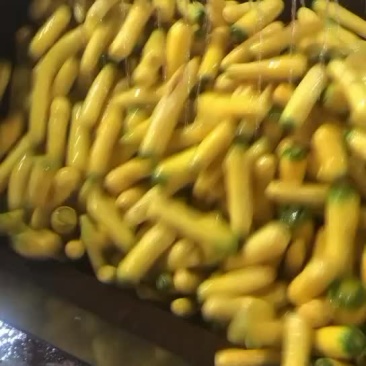 黄胡萝卜