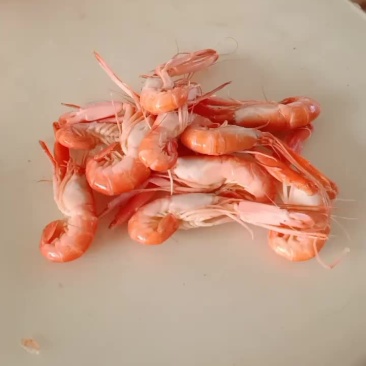 爪虾