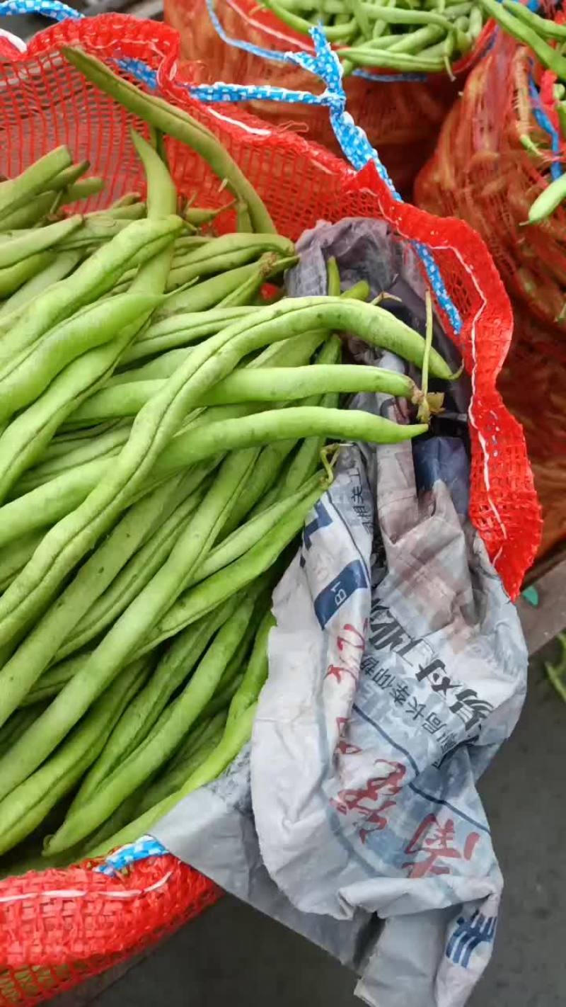 专业黄心大白菜，需要的老板可以从一亩田上和我联系