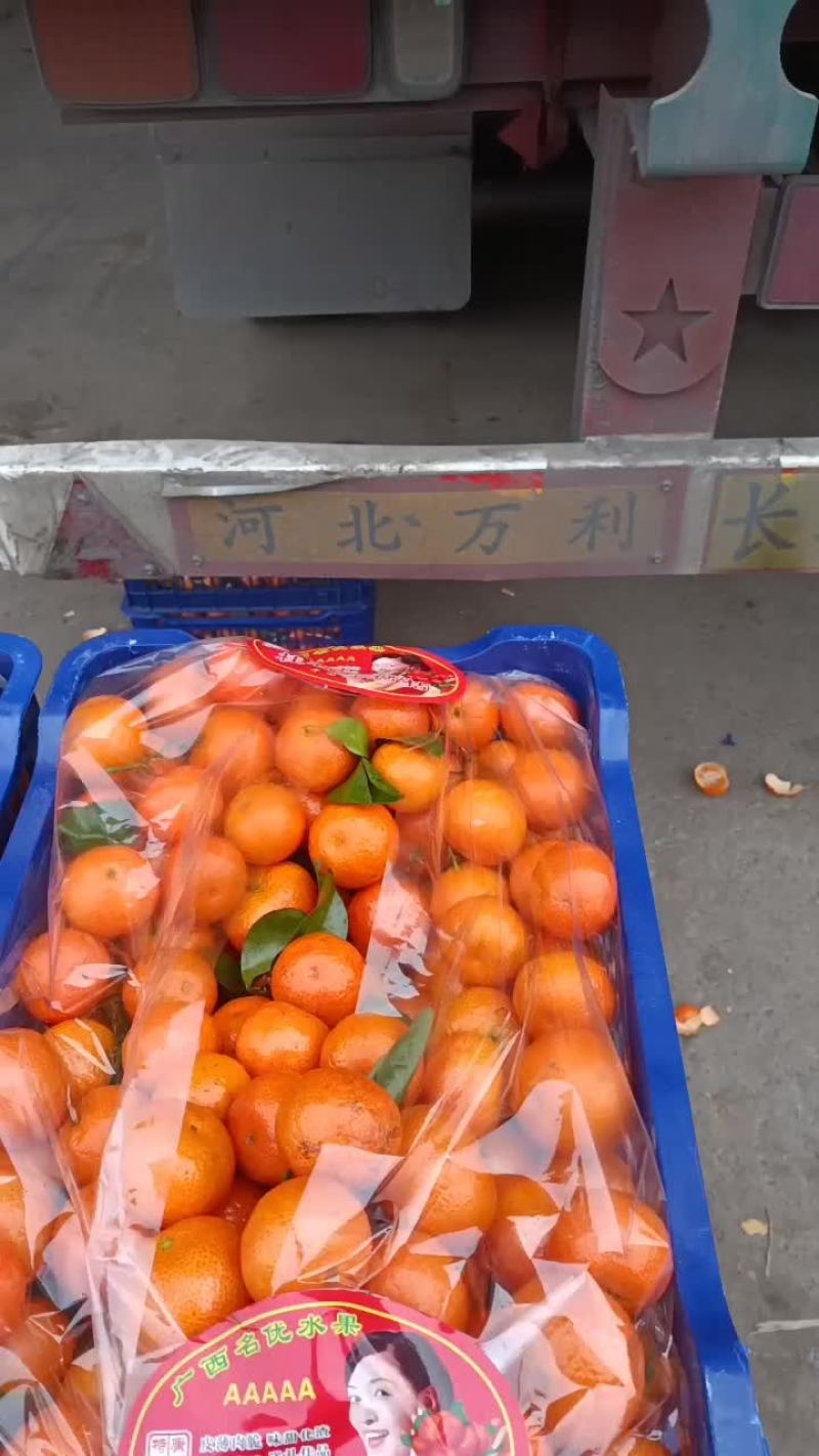 专业黄心大白菜，需要的老板可以从一亩田上和我联系