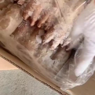 母猪肉皮
