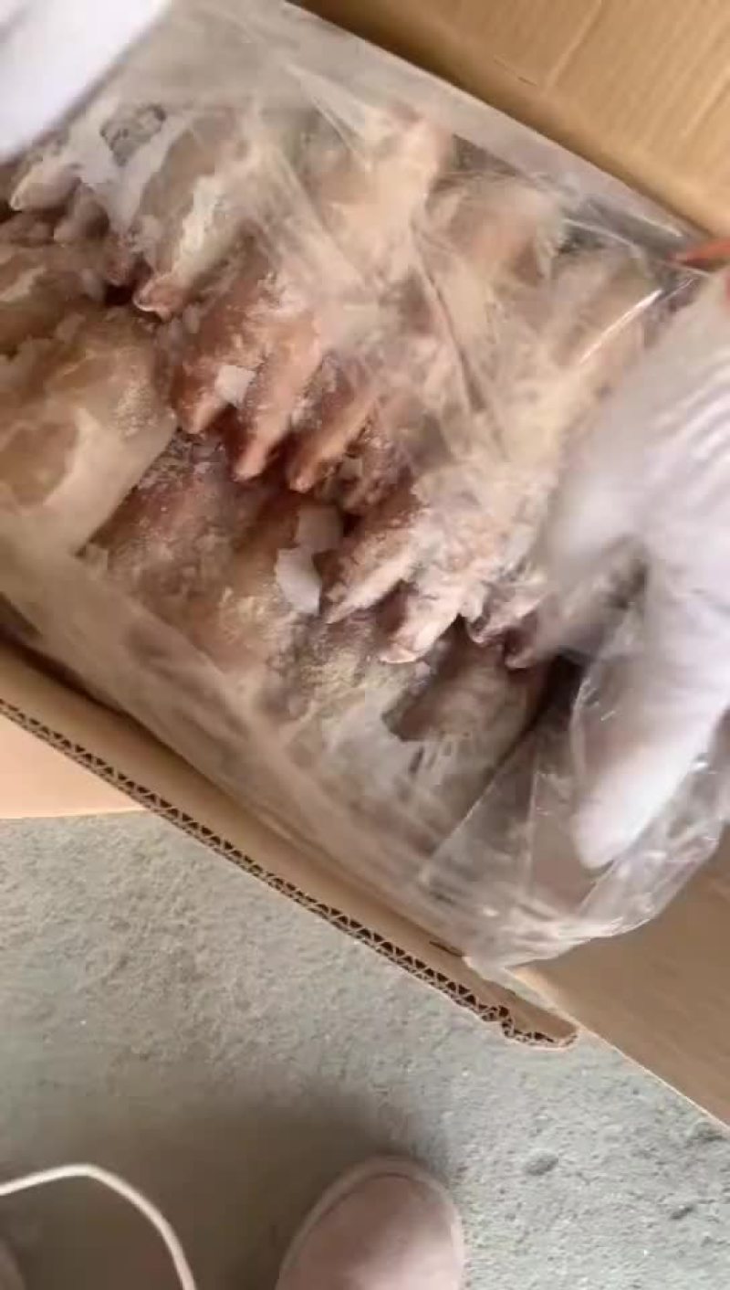 母猪肉皮