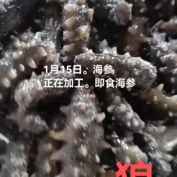 海参。即食海参