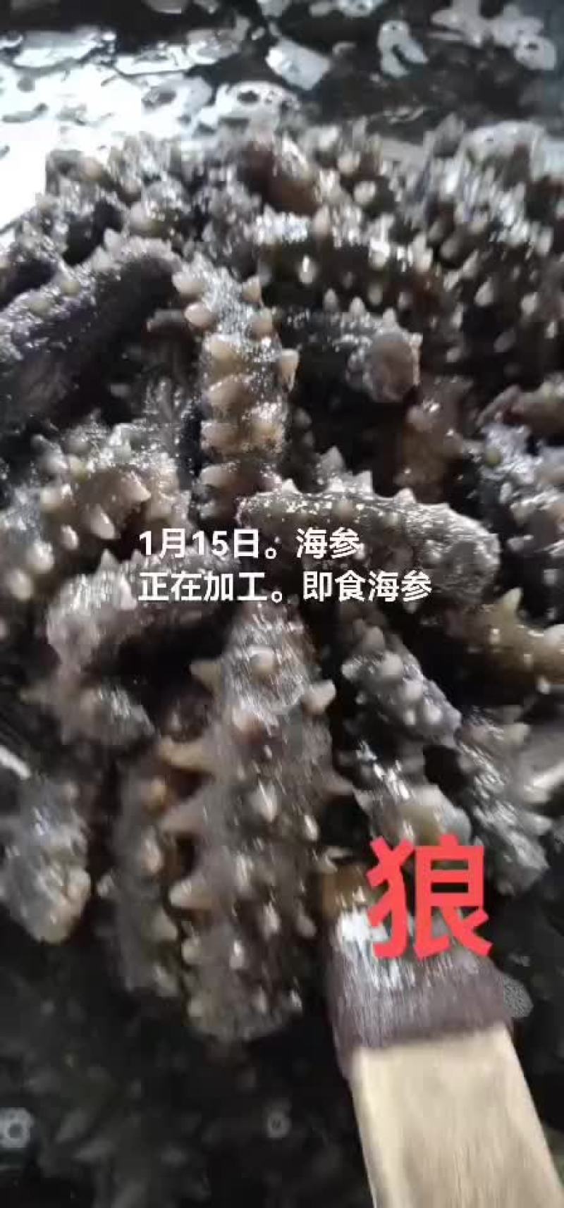 海参。即食海参
