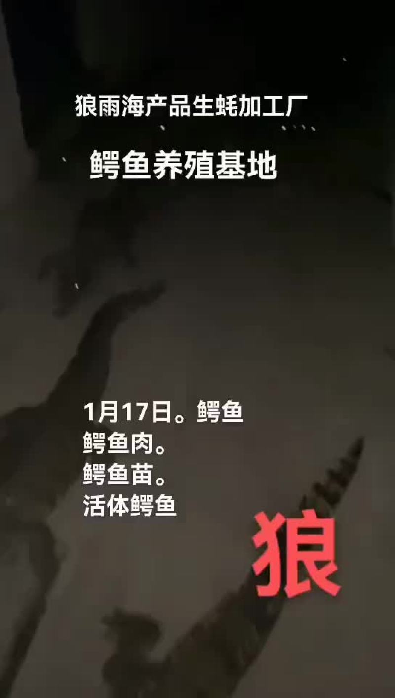 鳄鱼肉