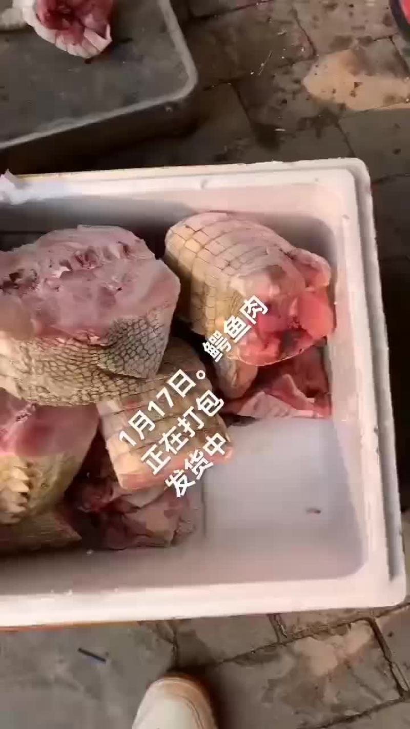 鳄鱼肉
