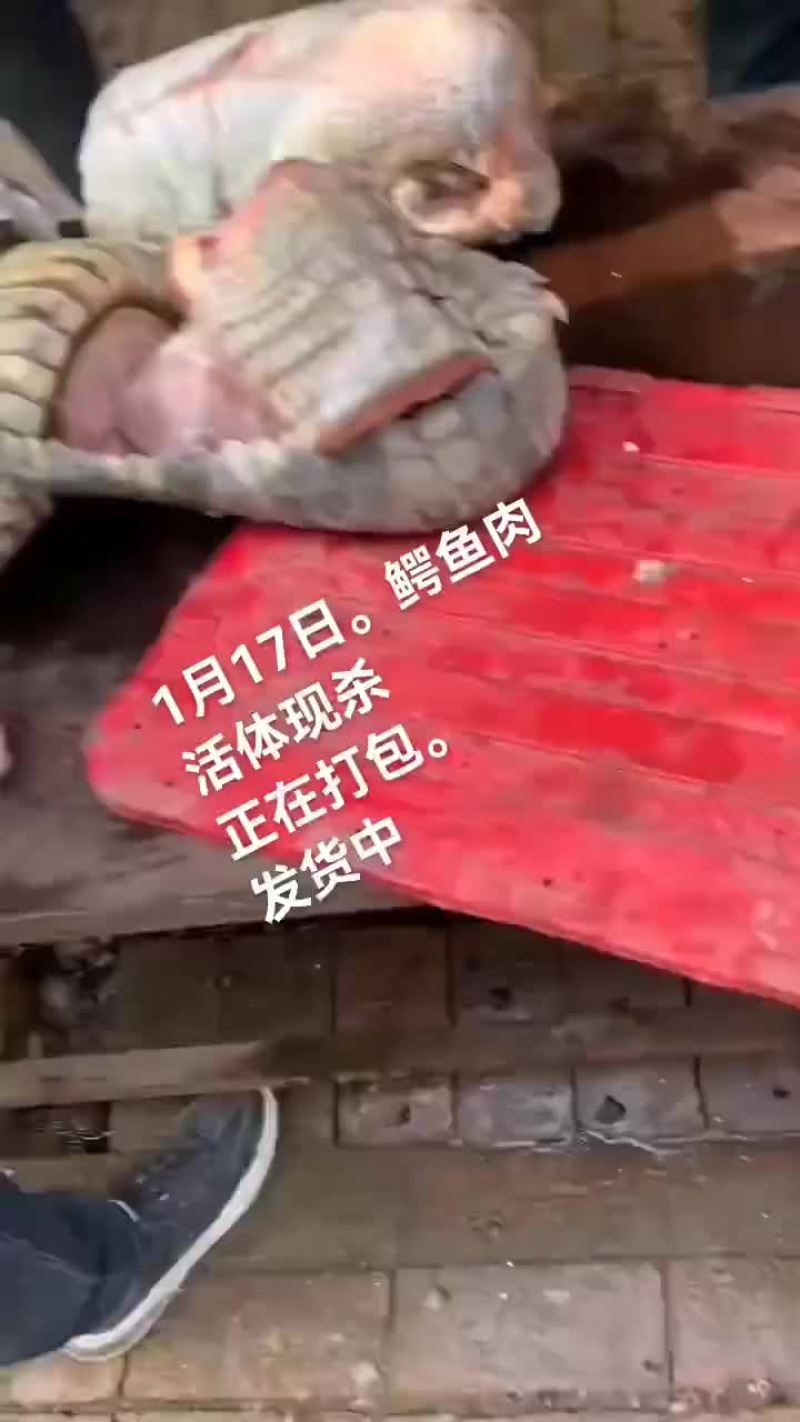 鳄鱼肉