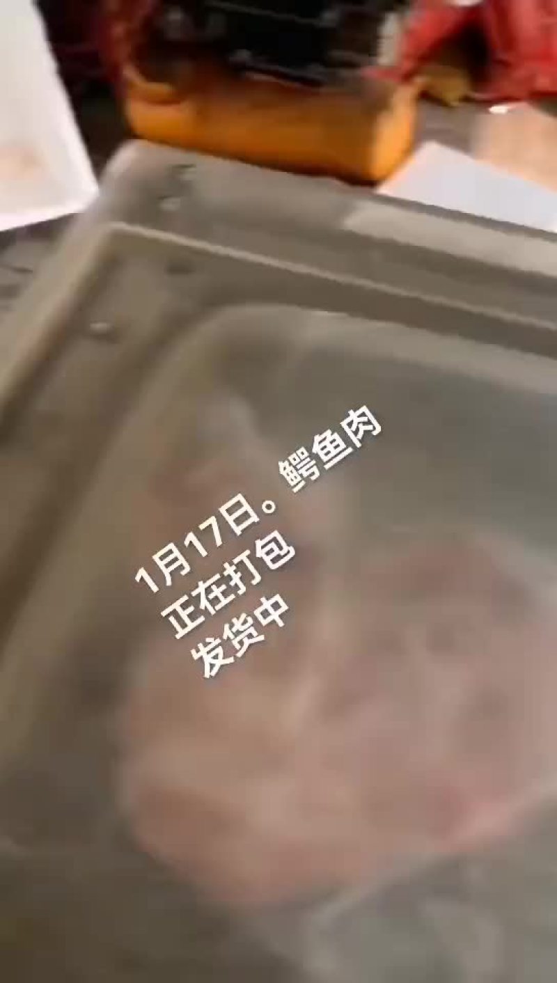 鳄鱼肉