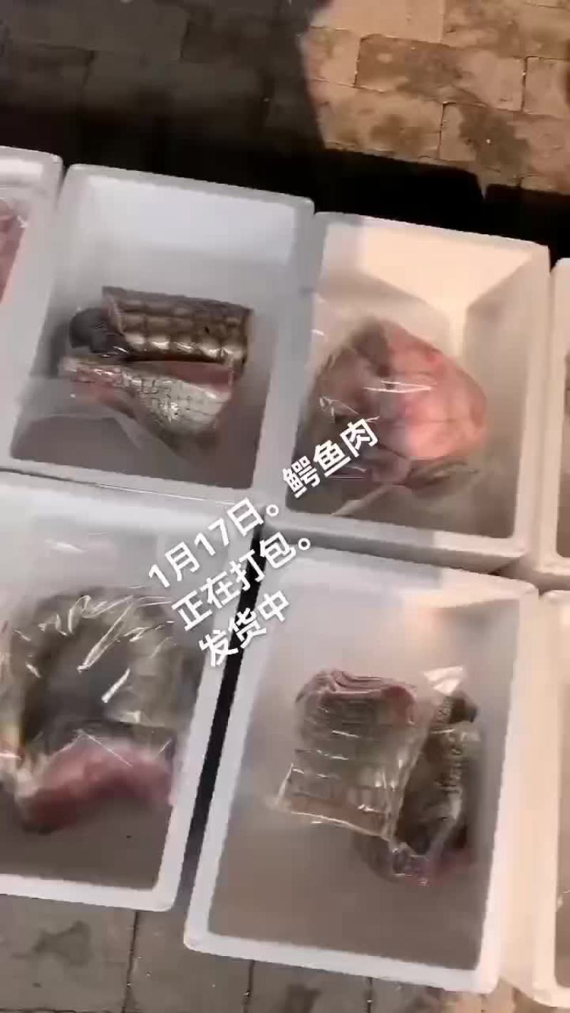 鳄鱼肉