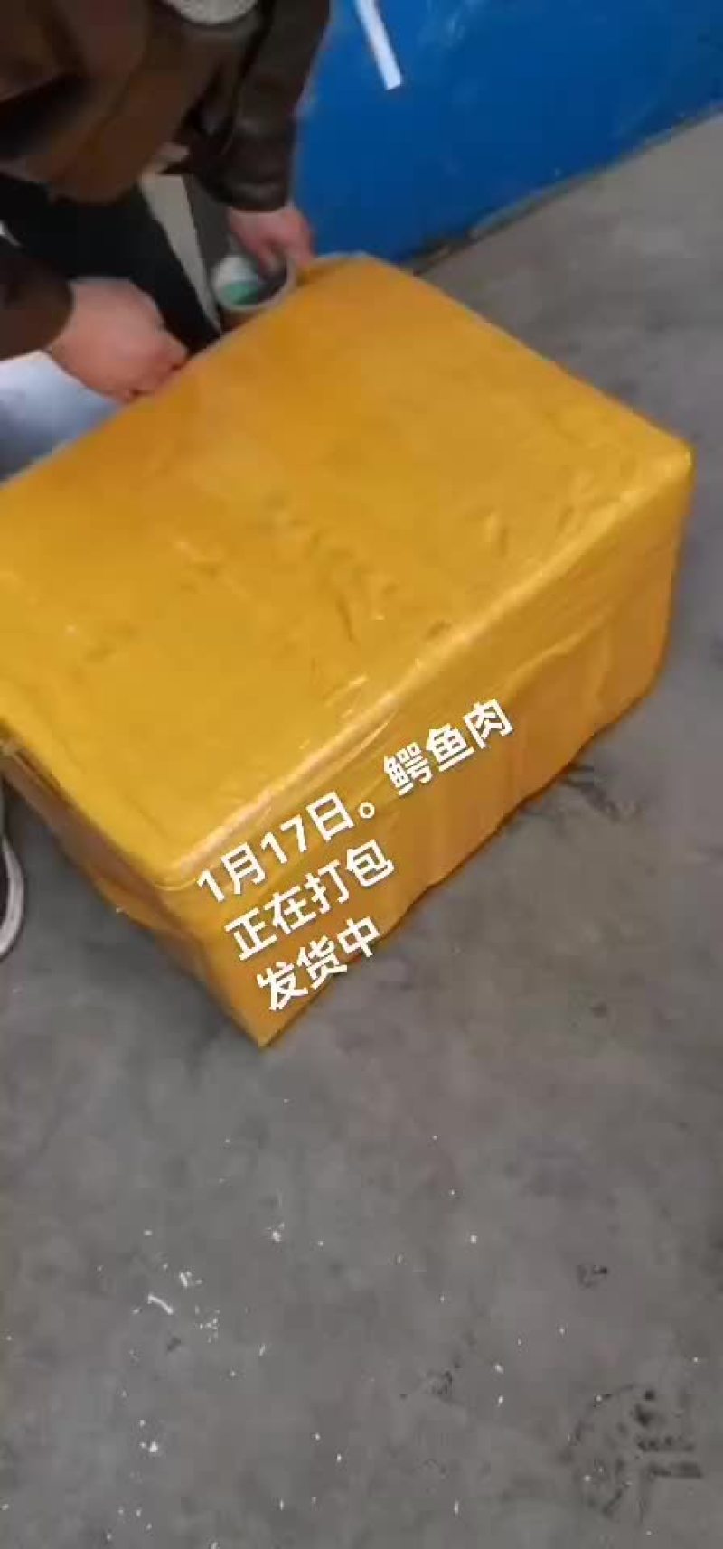 鳄鱼肉