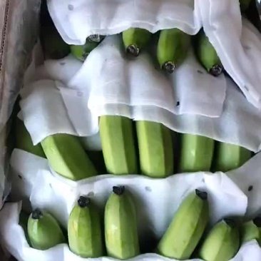 纯白香蕉