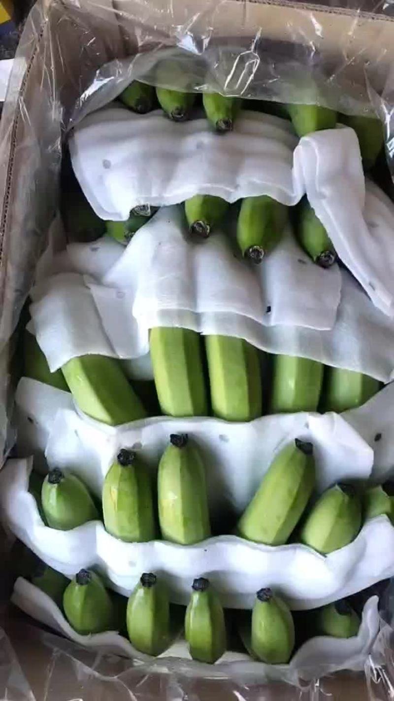 纯白香蕉