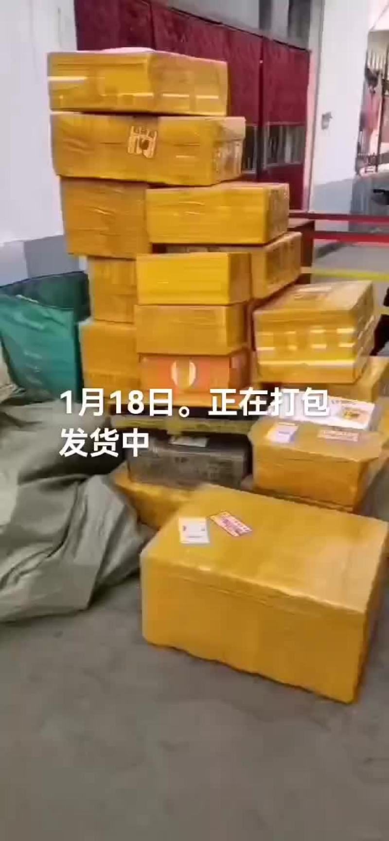 鳄鱼肉