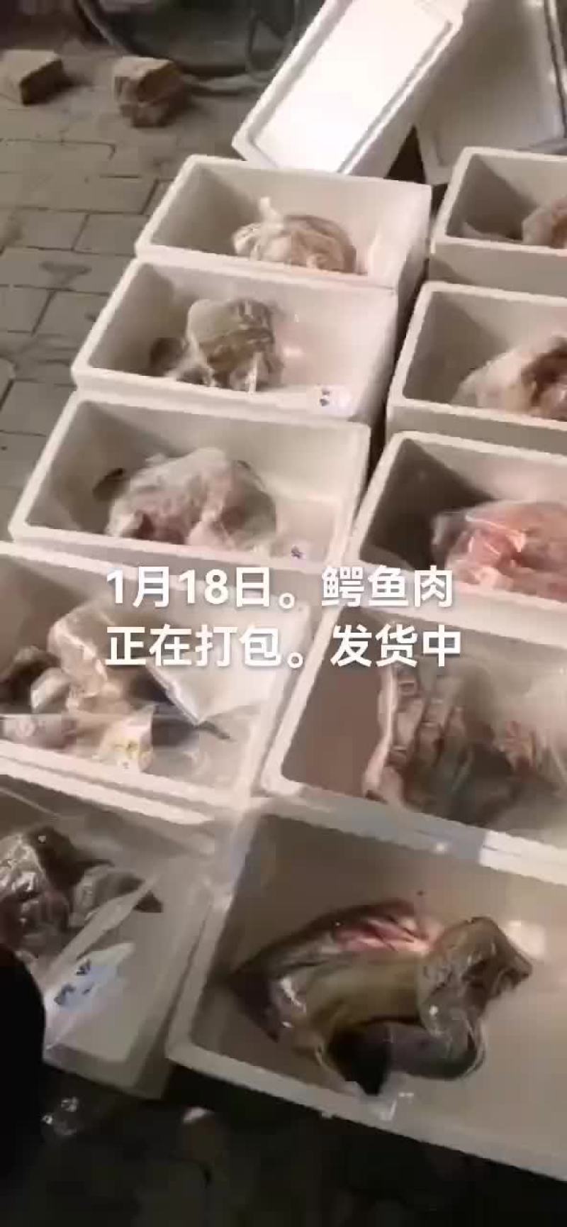 鳄鱼肉