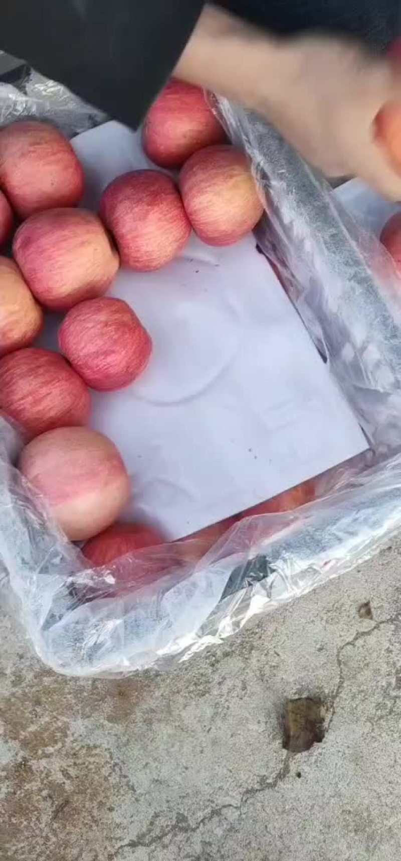冷库寒富，黑心的，不黑心的，大量有货，啥质量啥价格