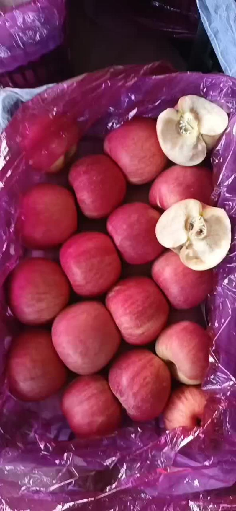 冷库寒富，黑心的，不黑心的，大量有货，啥质量啥价格