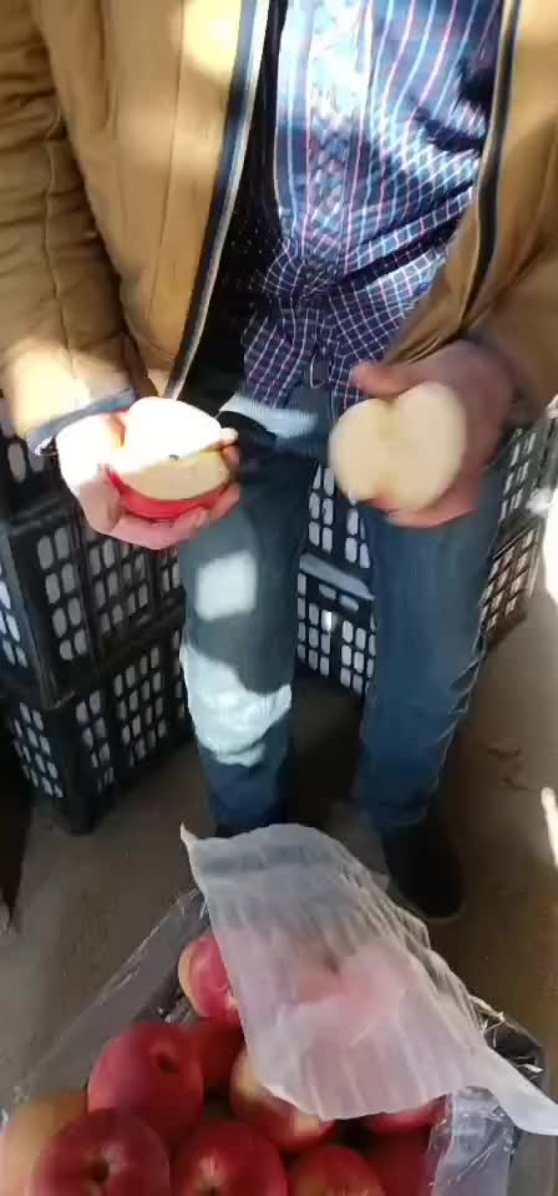 冷库寒富，黑心的，不黑心的，大量有货，啥质量啥价格