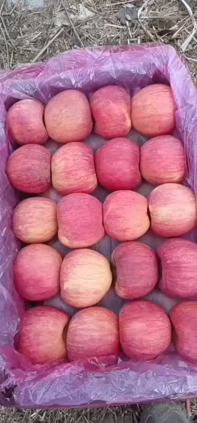 冷库寒富，黑心的，不黑心的，大量有货，啥质量啥价格