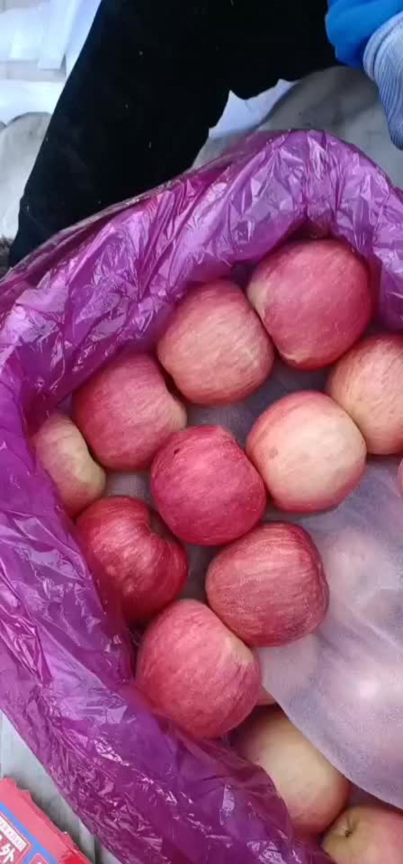 冷库寒富，黑心的，不黑心的，大量有货，啥质量啥价格