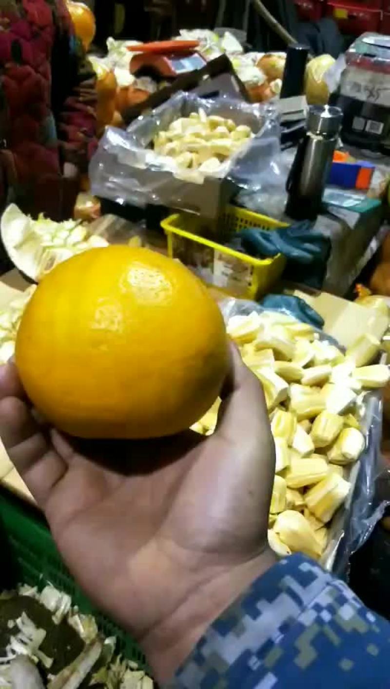 葡萄柚一块一斤。包质量