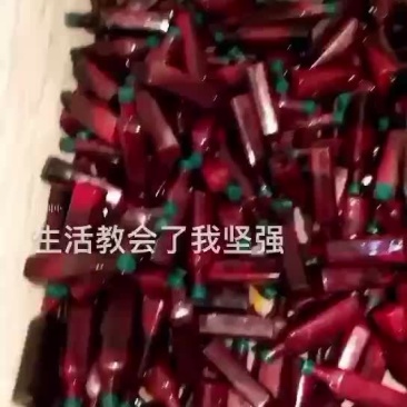 冷冻保存的鹿茸血