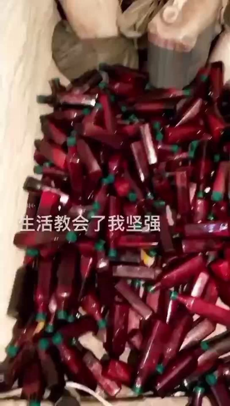 冷冻保存的鹿茸血