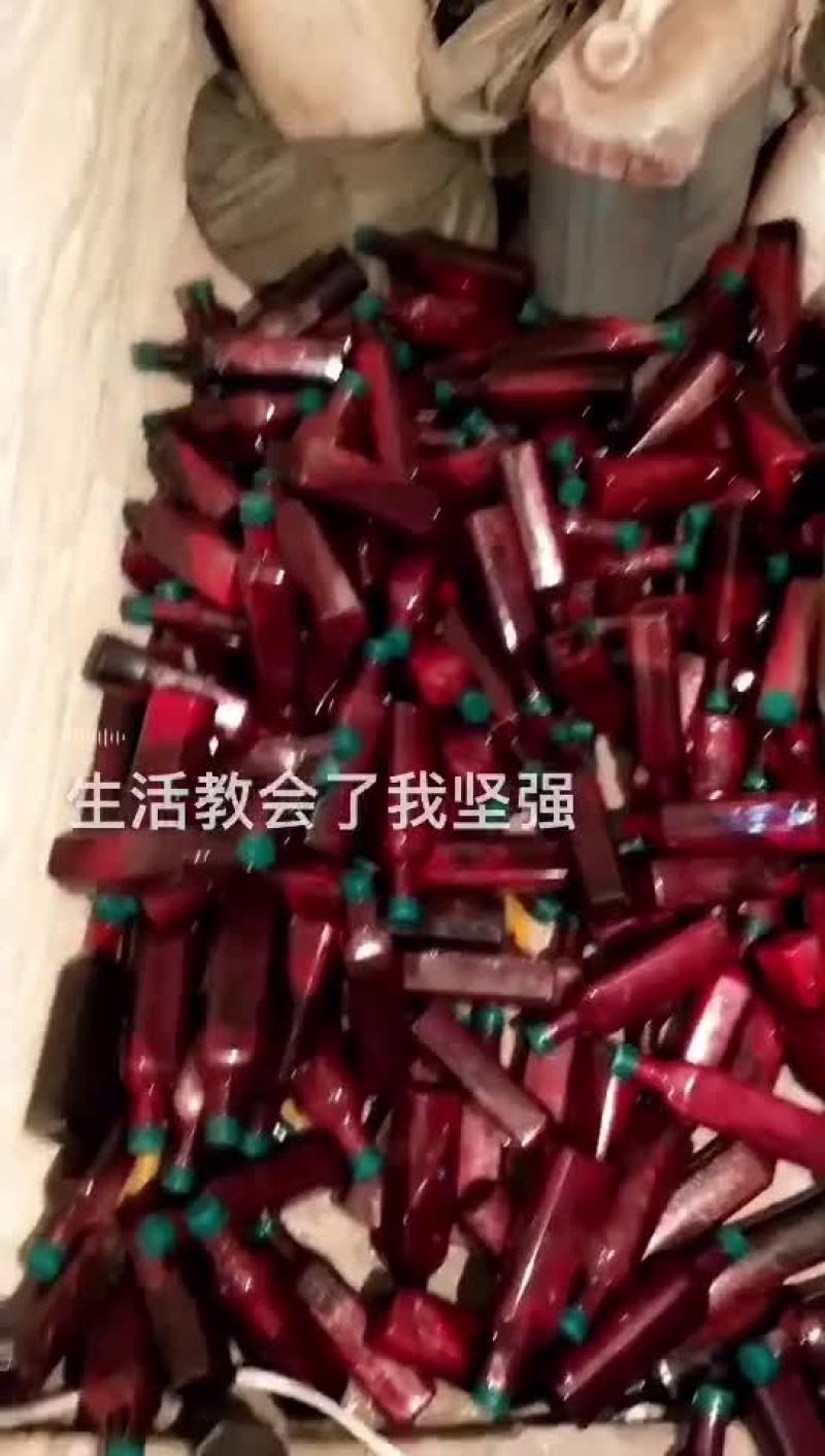 冷冻保存的鹿茸血
