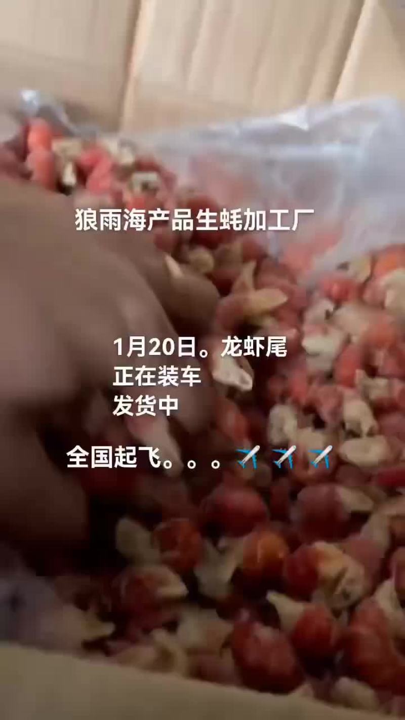 龙虾尾