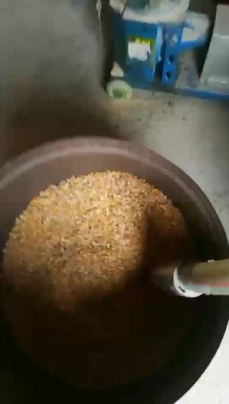 生猪，黑毛猪