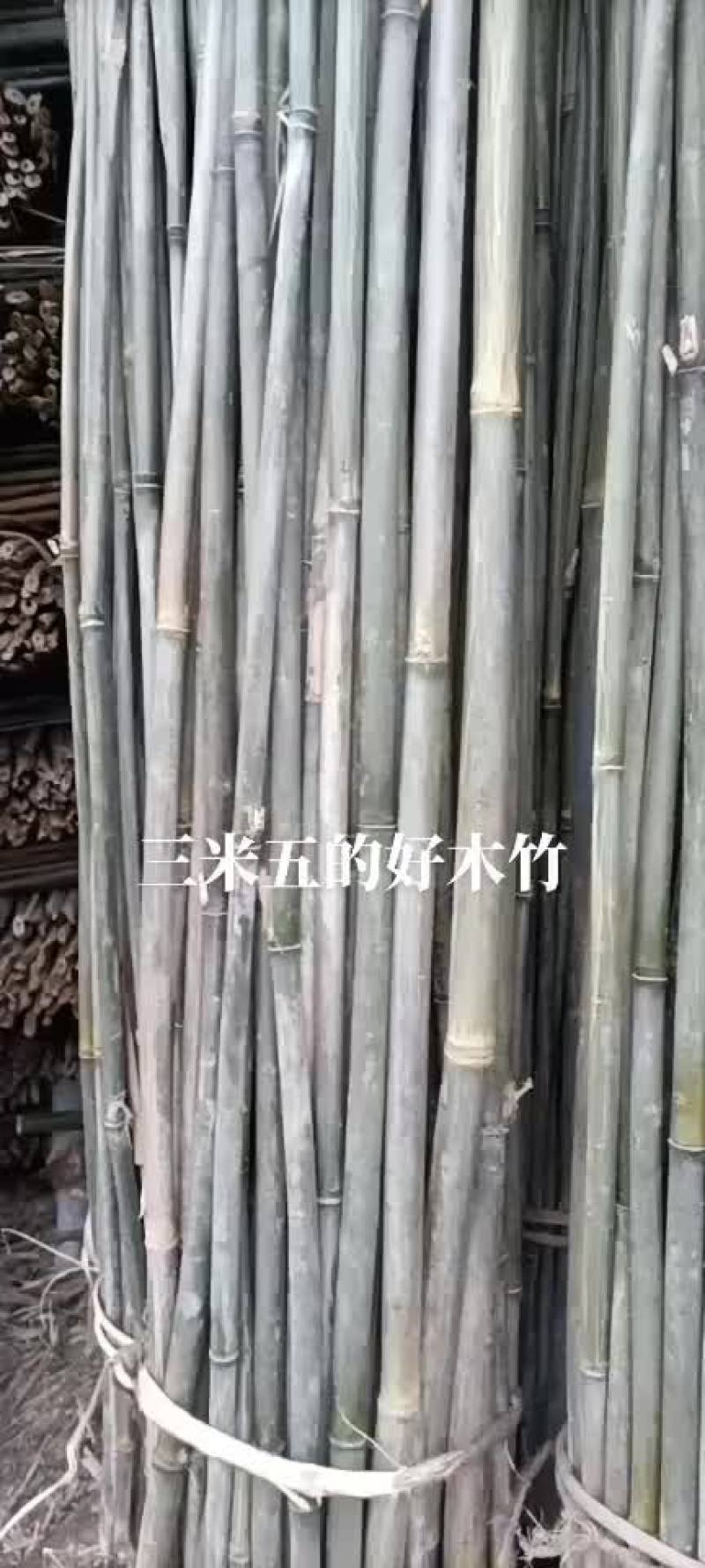 三米五的实心木竹