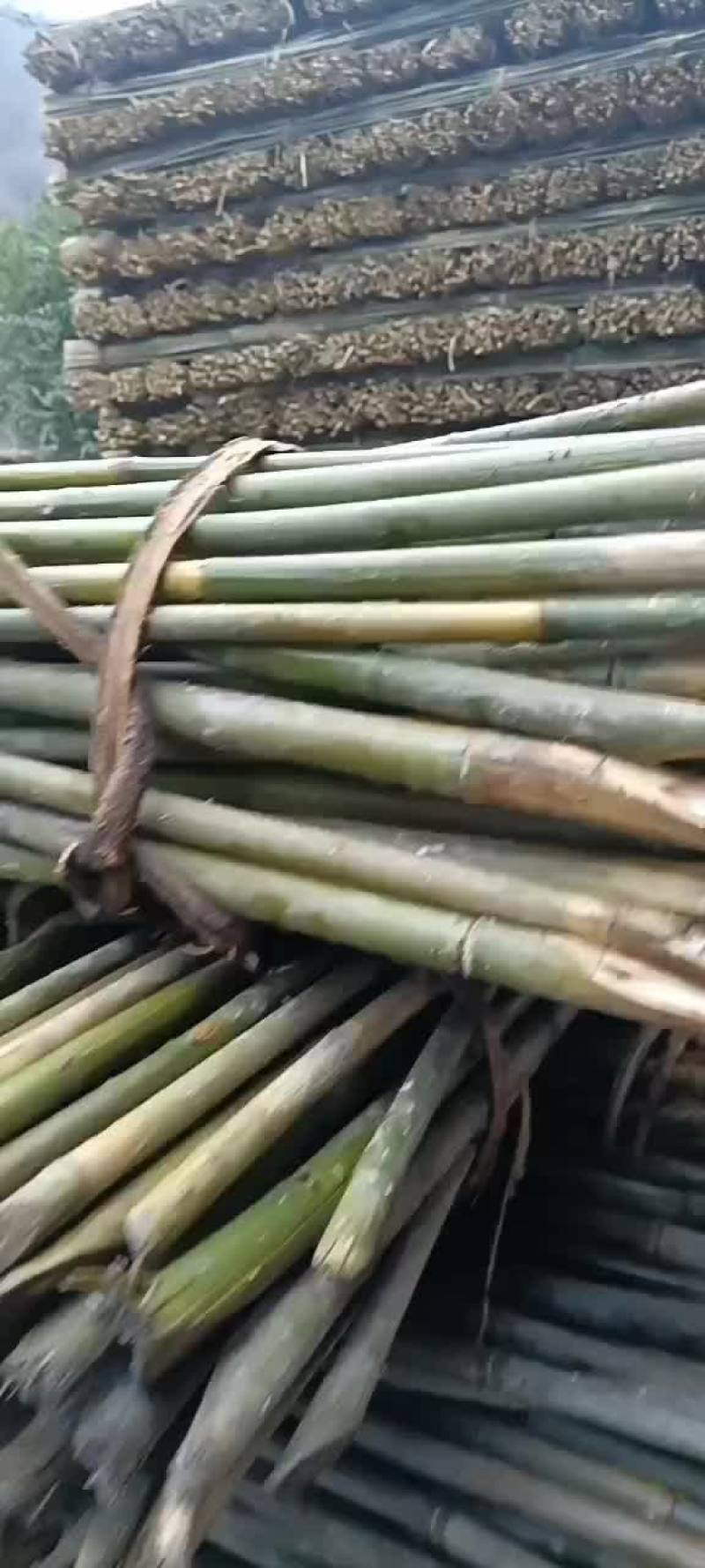 三米五的实心木竹