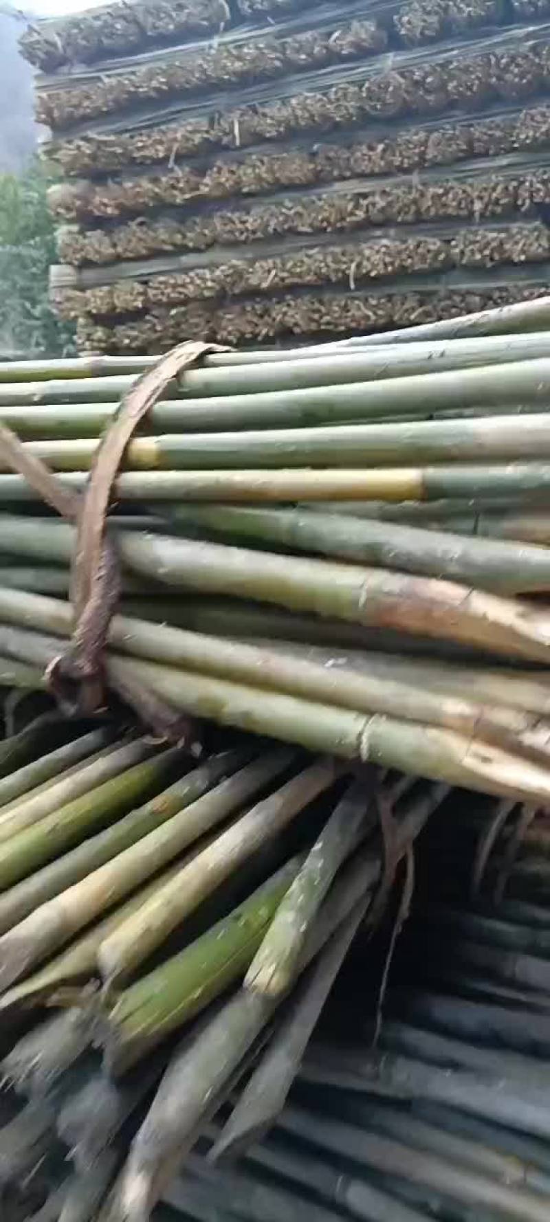 三米五的实心木竹