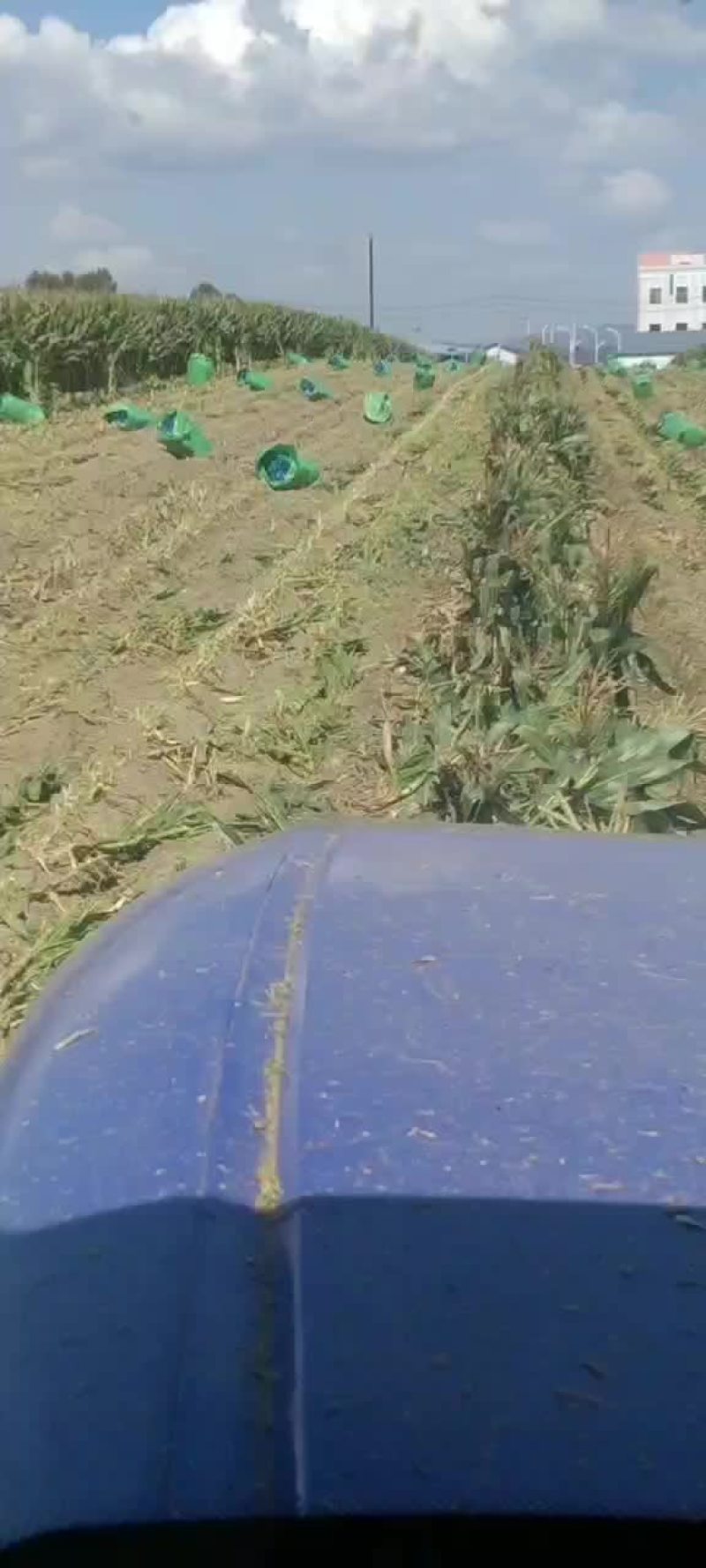 玉米秸秆柔丝小方包