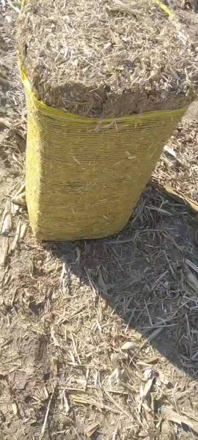 玉米秸秆柔丝小方包