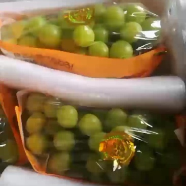阳光玫瑰葡萄