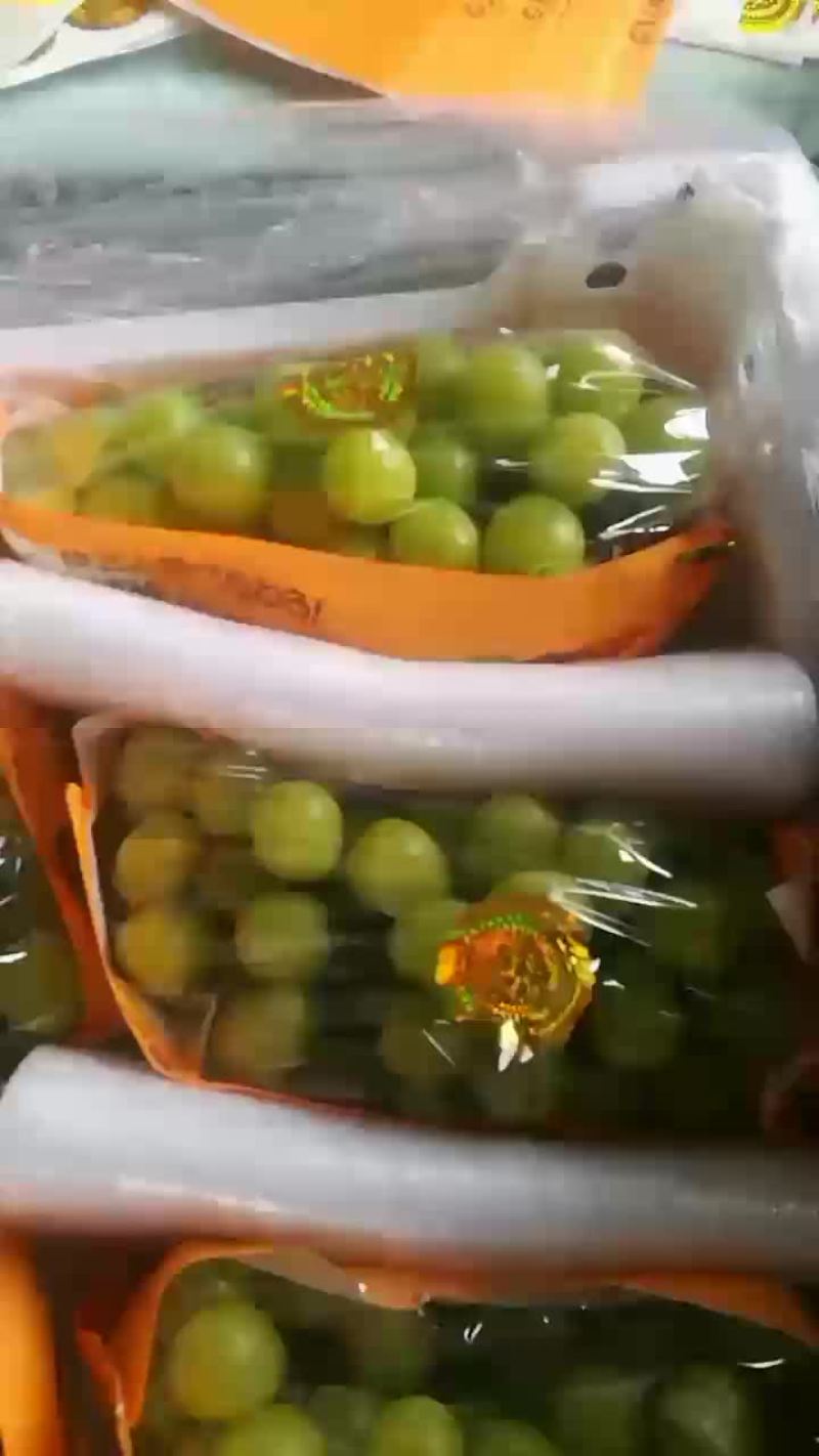 阳光玫瑰葡萄