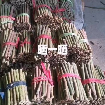 蔷薇杆