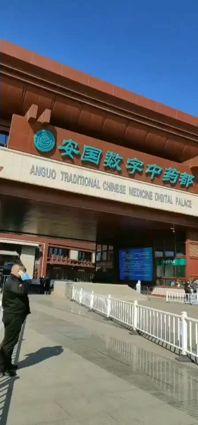 猫须草量大从优干货常年经营中药材