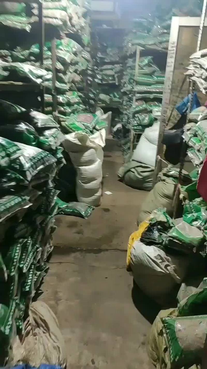 猫须草量大从优干货常年经营中药材